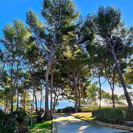 Superbe Appartement Dans Cadre D'Exception - Piscine, Plage Et Tennis Prive Bandol Eksteriør bilde